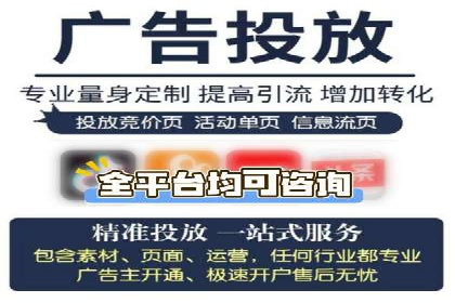 百度竞价代运营公司成功案例分析